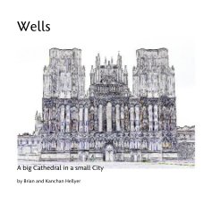 Wells book cover