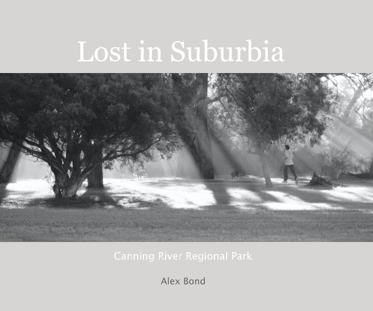 View Lost in Suburbia by Alex Bond
