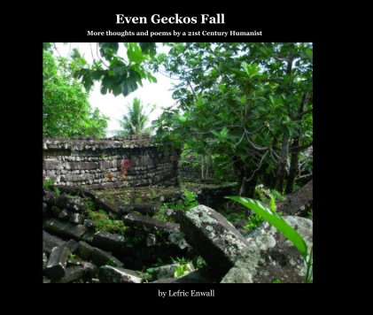 Even Geckos Fall book cover