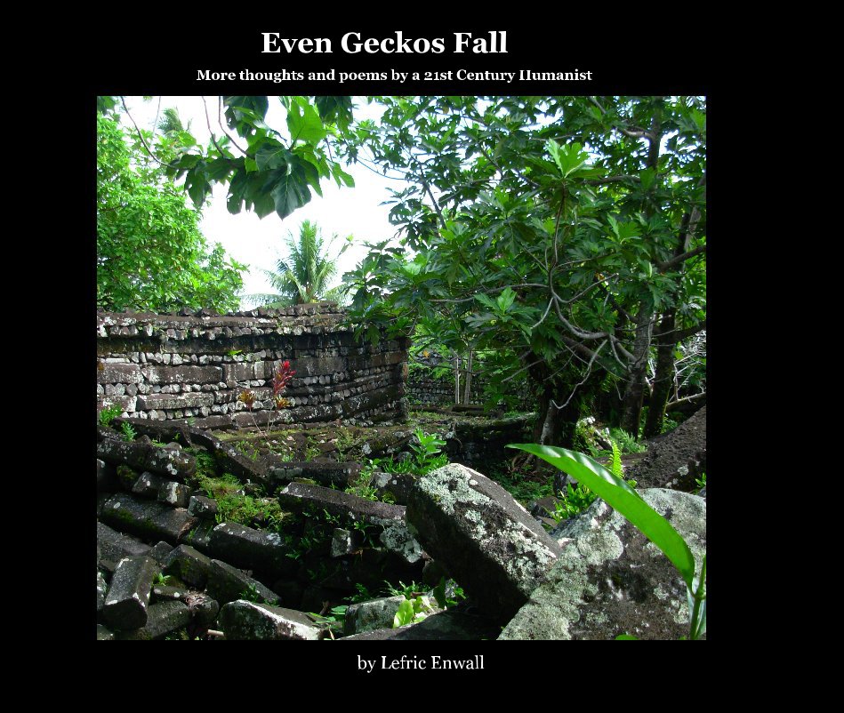 View Even Geckos Fall by Lefric Enwall