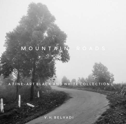 View Mountain Roads by Venkatram Harish Belvadi