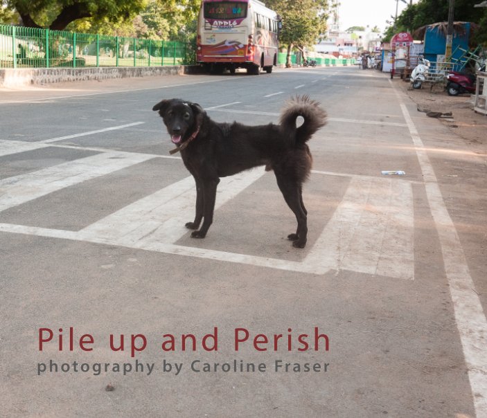 View Pile up and Perish by Caroline Fraser