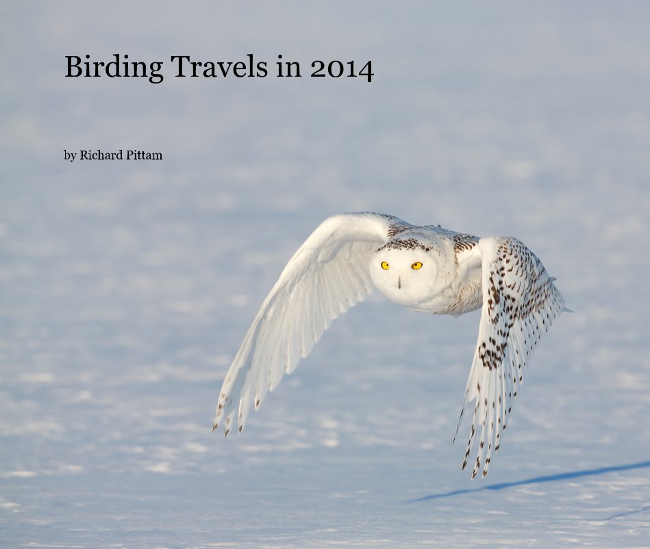 View Birding Travels in 2014 by Richard Pittam