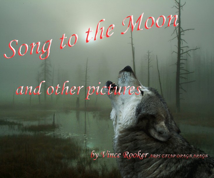 View Song to the Moon and Other Pictures by Vince Rooker