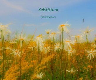 Solstitium book cover