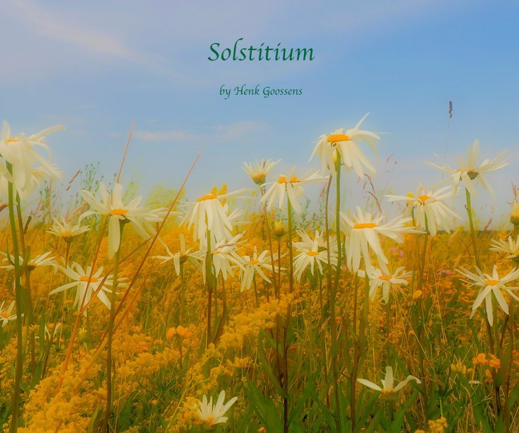 View Solstitium by Henk Goossens