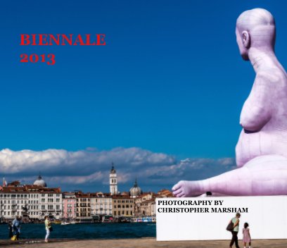 Biennale 2013 book cover