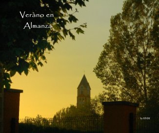 Verano en Almanza book cover