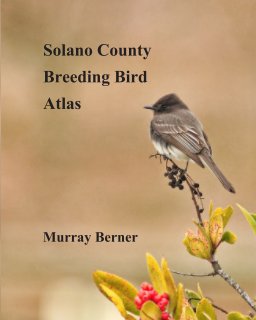 Solano County Breeding Bird Atlas book cover