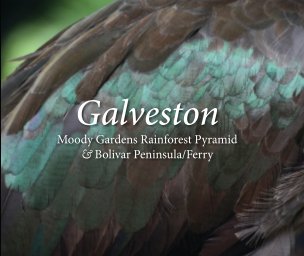 Galveston book cover