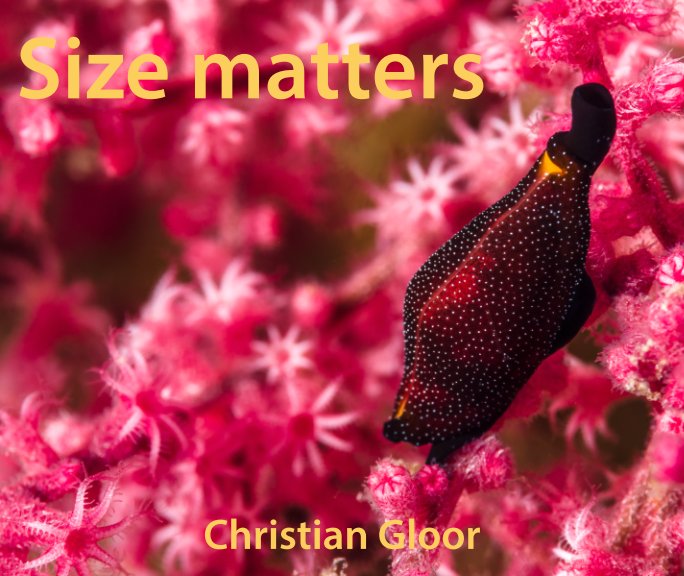Ver Size Matters (2015 edition) por Christian Gloor
