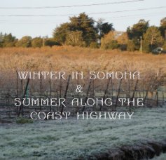 WINTER IN SOMONA & SUMMER ALONG THE COAST HIGHWAY book cover