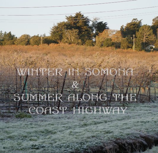 View WINTER IN SOMONA & SUMMER ALONG THE COAST HIGHWAY by judy1944