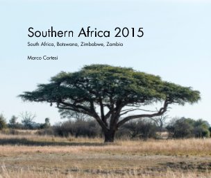 Southern Africa 2015 book cover
