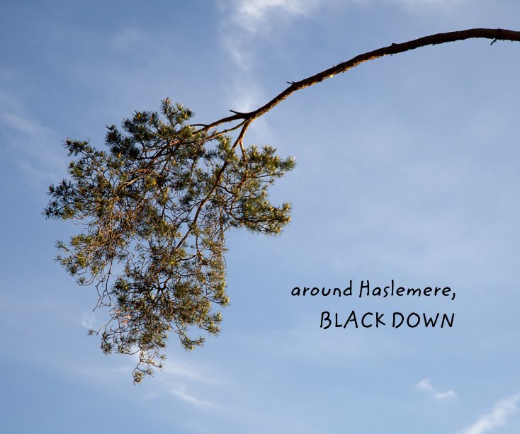 View around Haslemere, BLACKDOWN by Alex Anderson