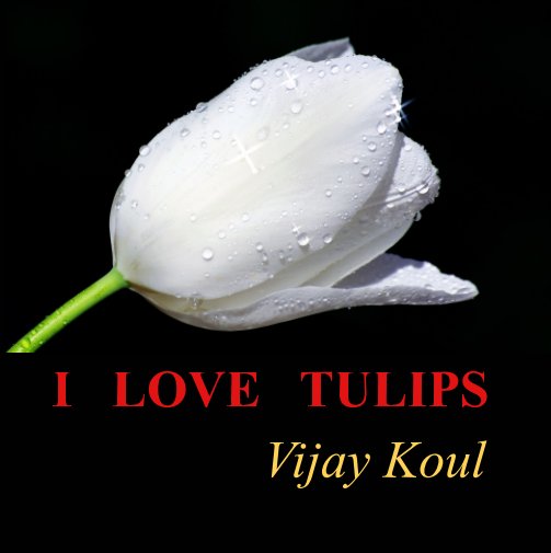 View I LOVE TULIPS by Vijay Koul