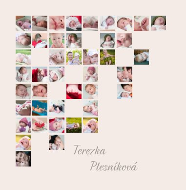 Terezka Plesníková book cover