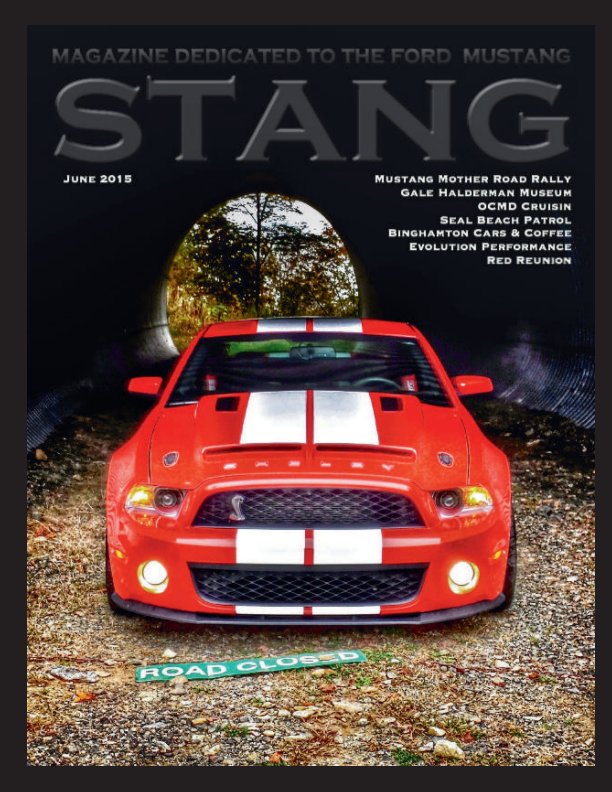 Visualizza STANG Magazine June 2015 di STANG Magazine