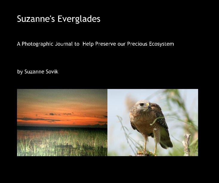 View Suzanne's Everglades by Suzanne Sovik