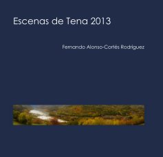Escenas de Tena 2013 (ed. bosillo) book cover