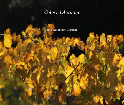 Colori d'Autunno book cover