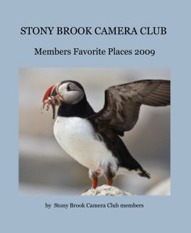 STONY BROOK CAMERA CLUB book cover