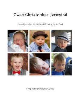 Owen Christopher Jermstad book cover