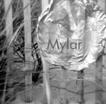Mylar book cover