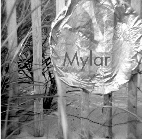 View Mylar by Tina Tryforos