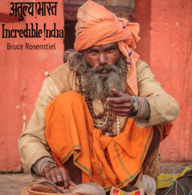 Incredible India Volume I book cover