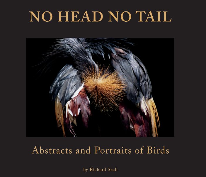 No Head No Tail by Richard Seah | Blurb Books