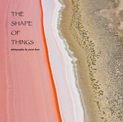 THE SHAPE OF THINGS book cover