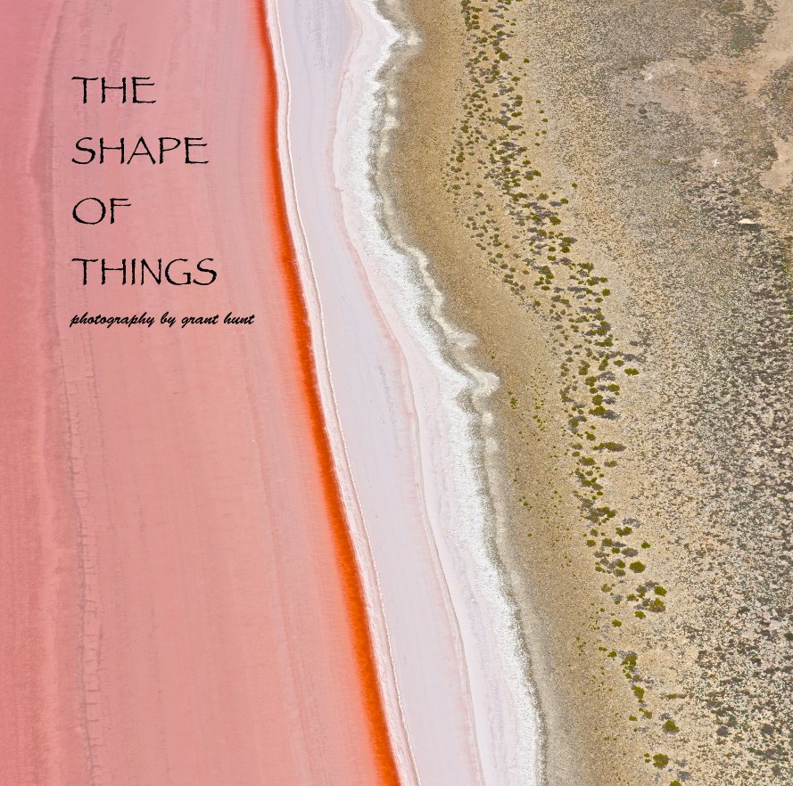 Visualizza THE SHAPE OF THINGS di Grant Hunt