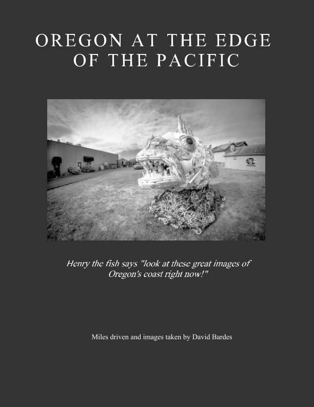 View Oregon At The Edge Of The Paciic by David Bardes