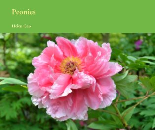Peonies book cover