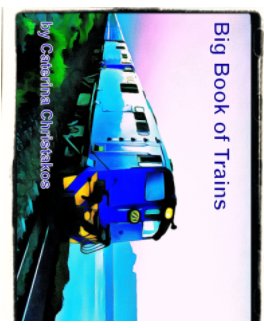 Big Book of Trains book cover