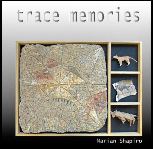 View Trace Memories by Marian Shapiro