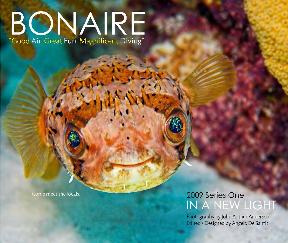 View Bonaire by John Anderson