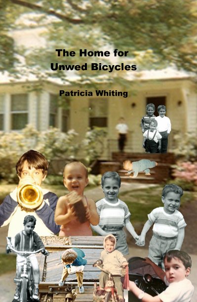 Ver The Home for Unwed Bicycles por Patricia Whiting