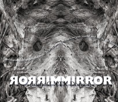 Mirror book cover