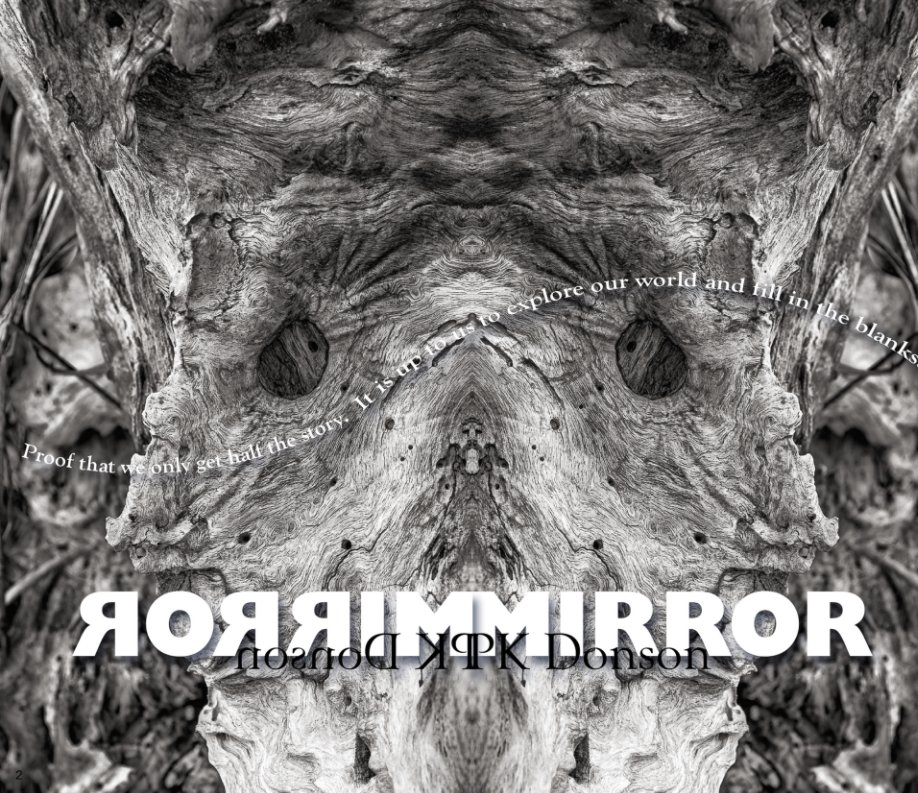 View Mirror by PK