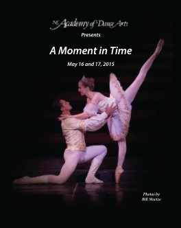 A Moment in Time 2015 book cover