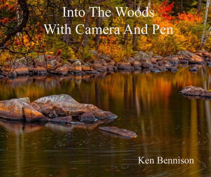 Visualizza Into The Woods di Ken Bennison