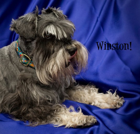 View Winston! by hbuffman