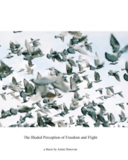 The Illuded Perception of Freedom and Flight book cover