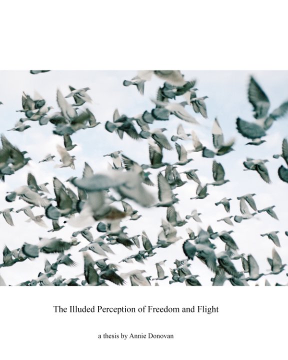 View The Illuded Perception of Freedom and Flight by Annie Donovan