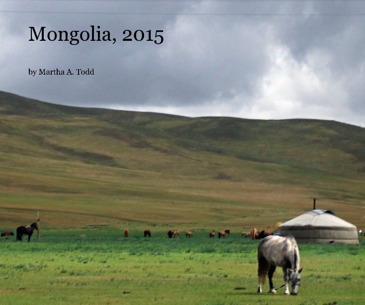View Mongolia, 2015 by Martha A. Todd