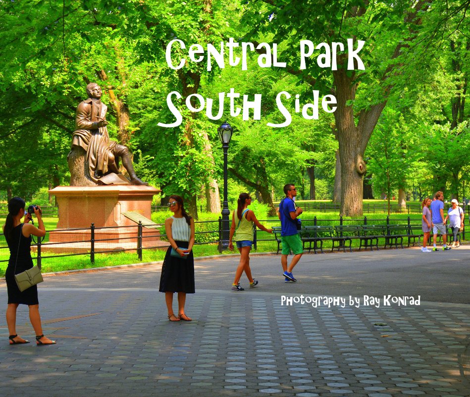 Visualizza Central Park South Side di Ray Konrad