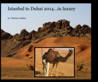 Istanbul to Dubai 2014...in luxury book cover