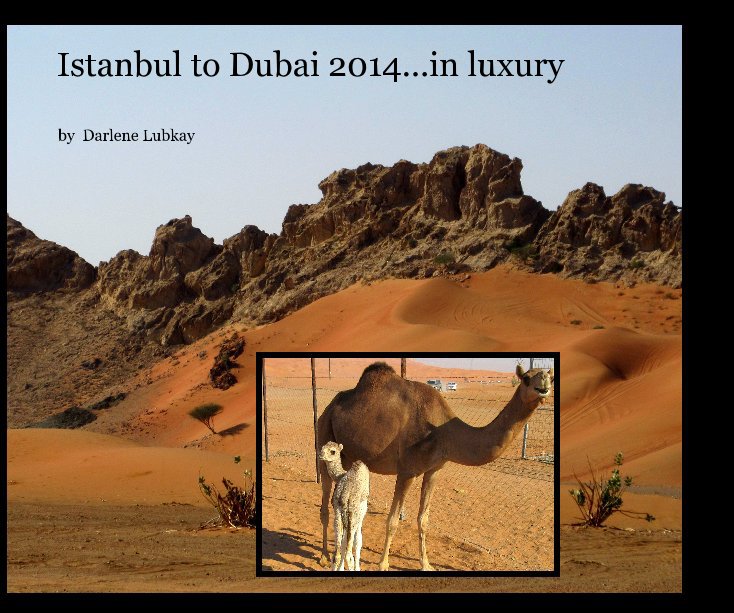 View Istanbul to Dubai 2014...in luxury by Darlene Lubkay